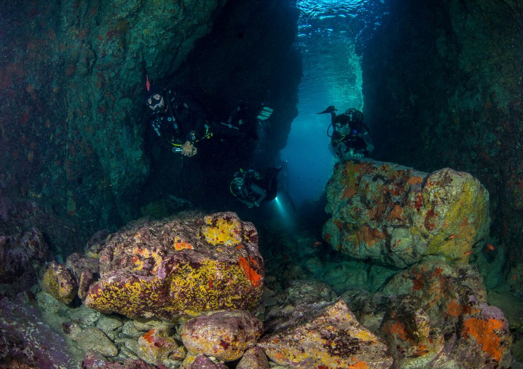 horizontal3 01 1024x724 - Inmersión Cueva del Francés