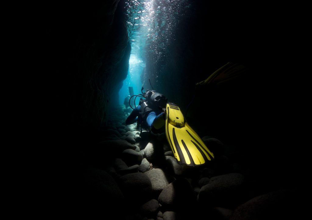 horizontal8 01 1024x724 - Inmersión Cueva del Francés